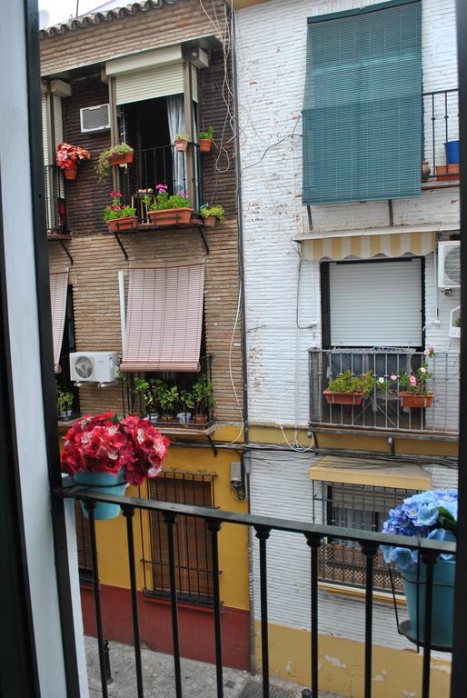 Triana Pelay Seville